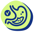 Icon of a healthy stomach with a checkmark, representing gut-friendly or digestive health benefits.