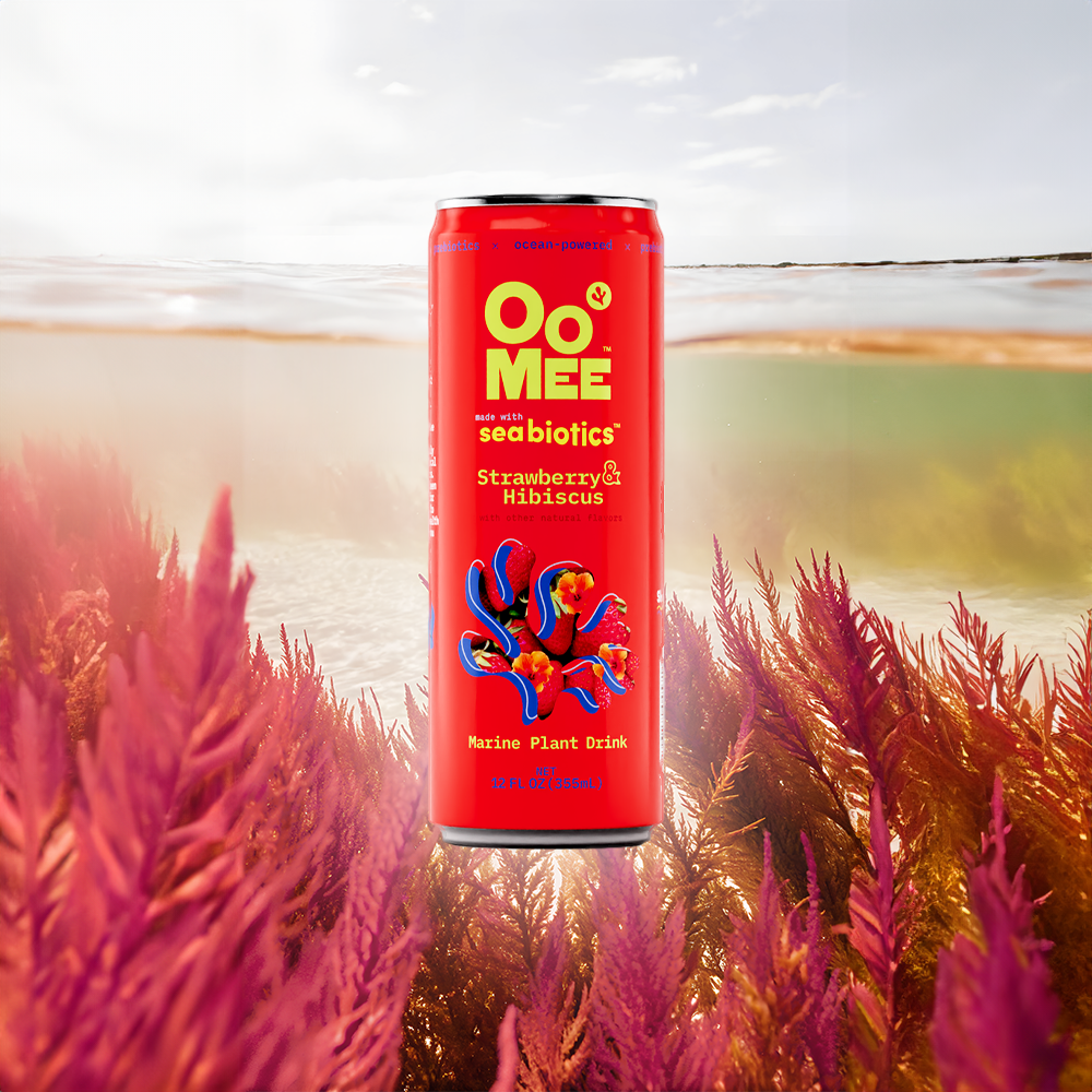 From Ocean to Can: OoMee is the Seaweed Drink You'll Love
