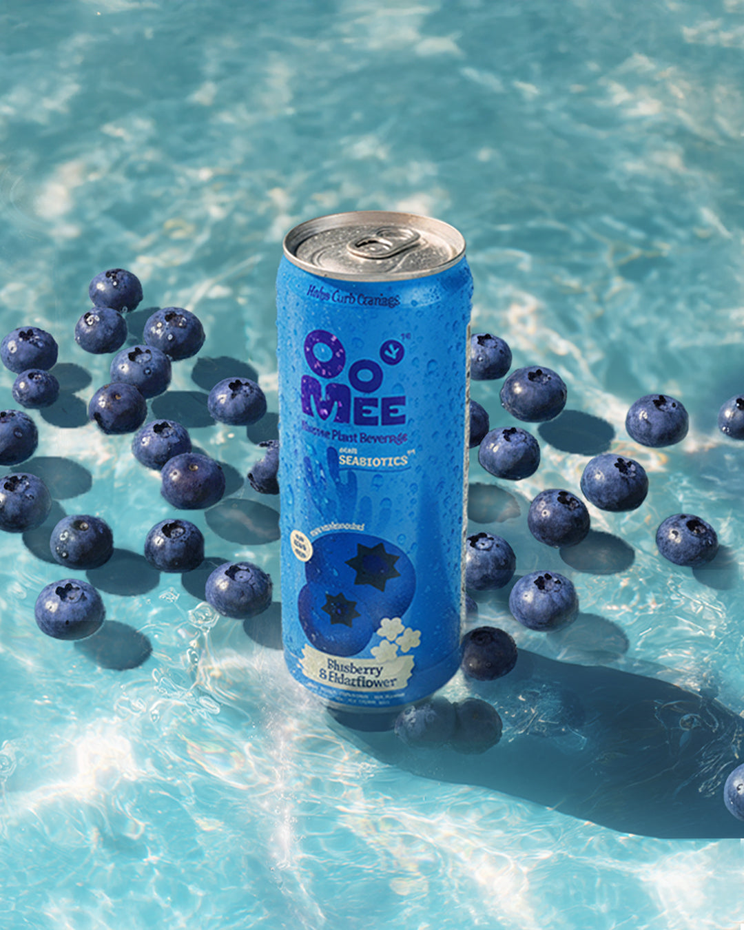 OoMee Blueberry & Elderflower - 12 Pack