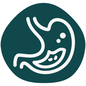 stomach illustration representing digestion