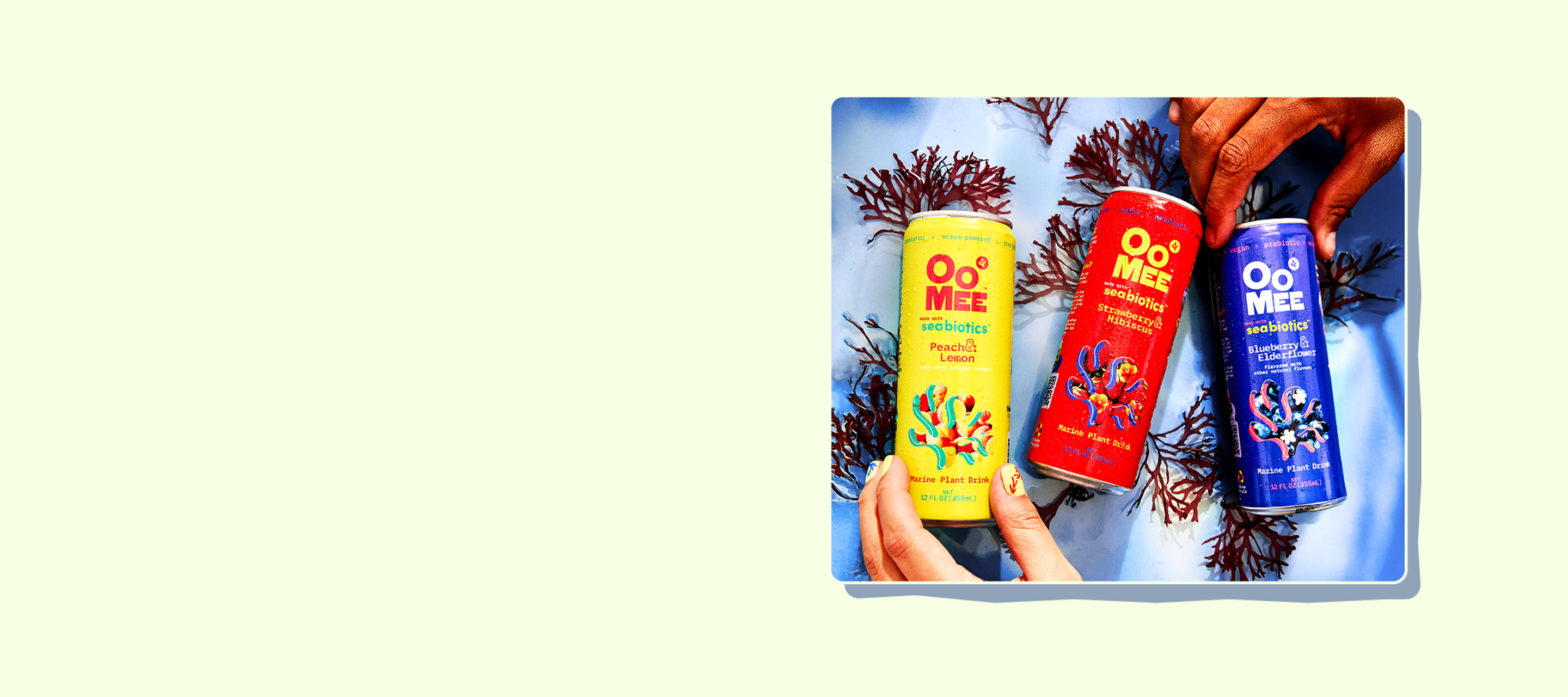 Three colorful OoMee Seabiotics cans—Peach & Lemon, Strawberry & Hibiscus, and Blueberry & Elderflower—held by diverse hands over a blue oceanic background with red marine plants.