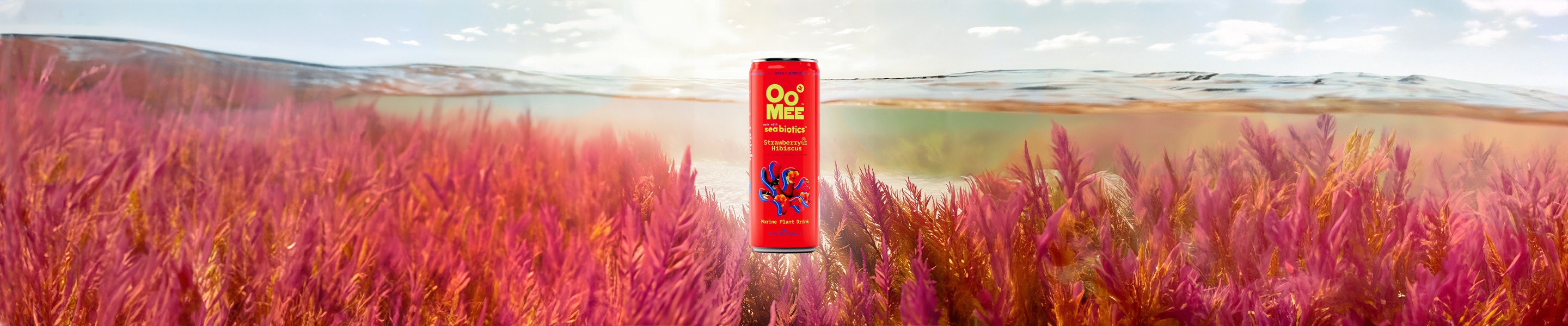 Panoramic banner image showing a vibrant underwater forest of red seaweed with an OoMee Strawberry & Hibiscus seaweed drink can centered in the middle. The scene is split above and below the water’s surface, with golden light streaming through the ocean and fluffy clouds in the sky. The can is labeled “OoMee made with seabiotics™ – Strawberry & Hibiscus – Marine Plant Drink.”

